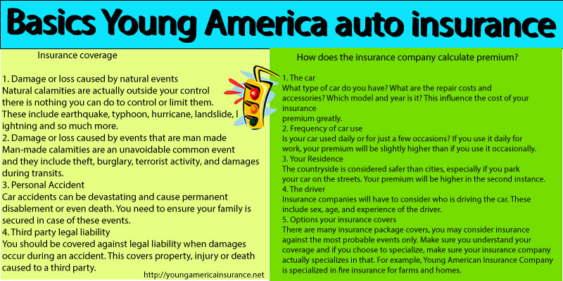 Young America Insurance Company l Auto Insurance from $20/month