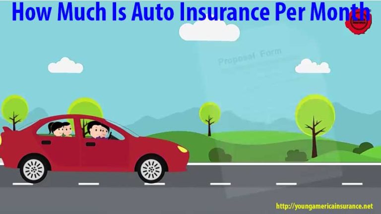 How Much Is Auto Insurance Per Month At Young America