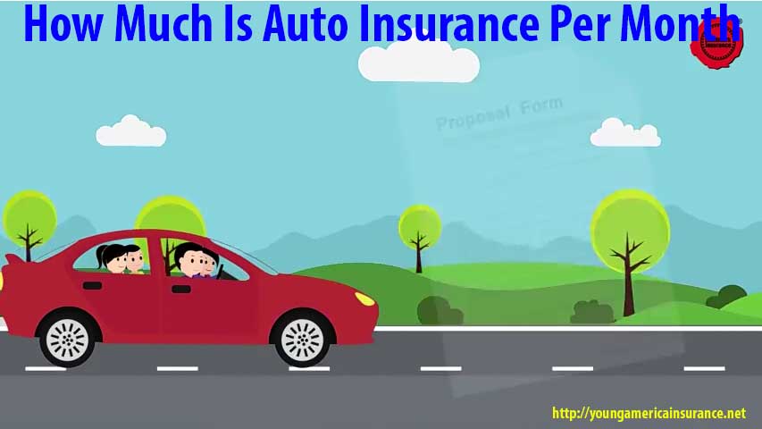 how much is auto insurance per month