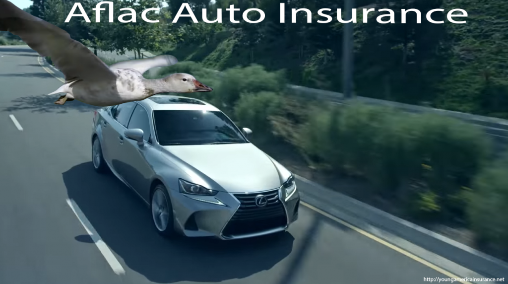 Aflac Auto Insurance